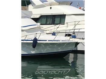 Bertram Yacht 28' SF