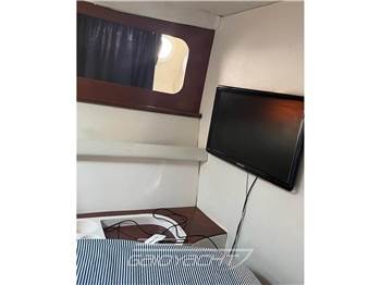 Fiart Mare 35 GENIUS