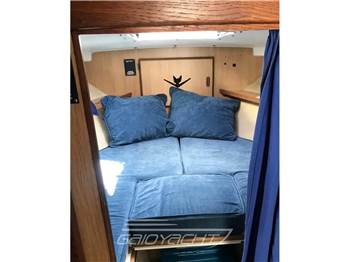 Bertram Yacht 28' SF