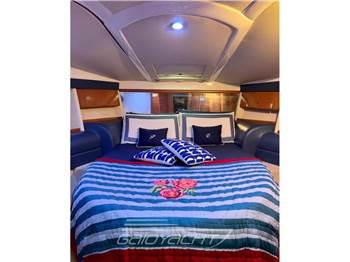 Sealine S 42