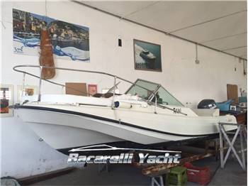 Boston Whaler 21 revenge