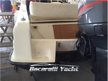 Boston Whaler 21 revenge