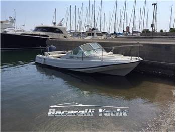 Boston Whaler 21 revenge