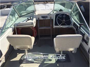 Boston Whaler 21 revenge
