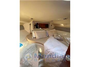 SALPA 31,5