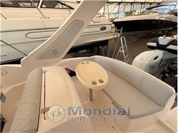 Sea Prop Grand Sport 25