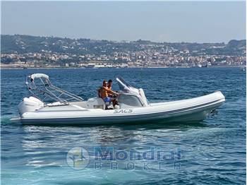 SACS Strider 9