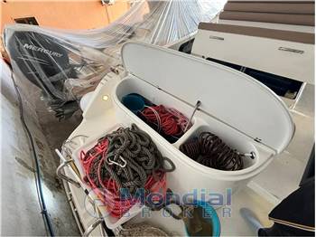 Firebird Sole 36