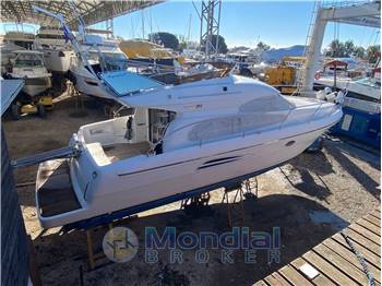 ASTONDOA 394 Fly