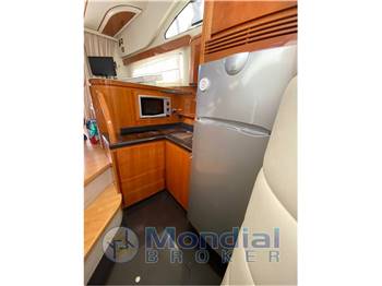 ASTONDOA 394 Fly
