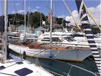 Albatros Deniz Albatros 49