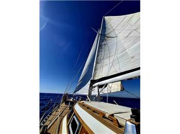 Franchini 57