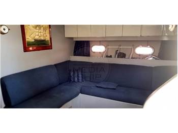 Giorgi 46