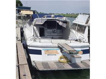 Giorgi 46