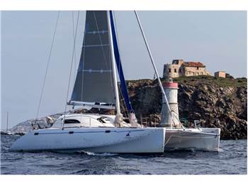 Latini Cat 43