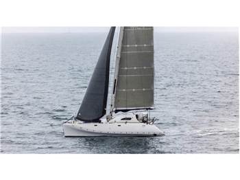 Latini Cat 43