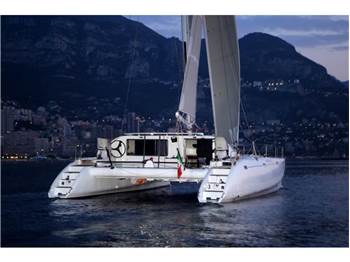 Latini Cat 43