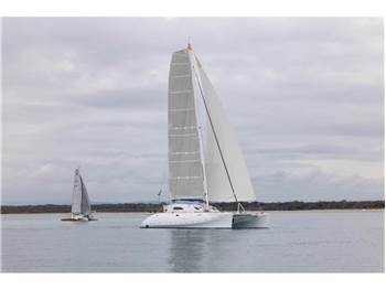 Latini Cat 43