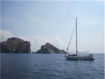 Bavaria 42