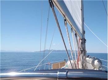 Bavaria 42