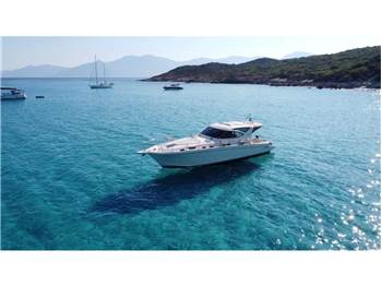Cayman 43