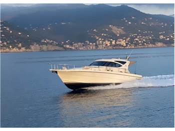 Cayman 43