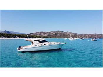 Cayman 43