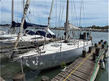 Fiberglass Orca 43
