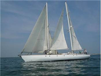 Stain Goletta Oceanica