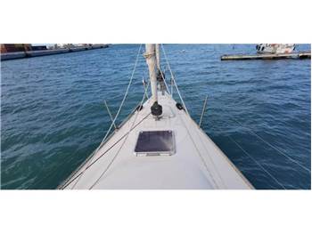 Latini Fast Cruiser Latini 50