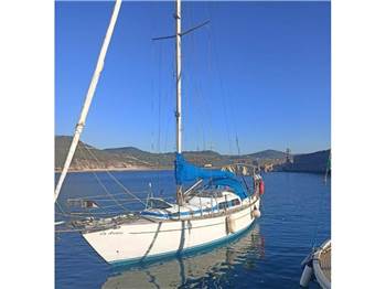 Arne Arksunds Amigo 33