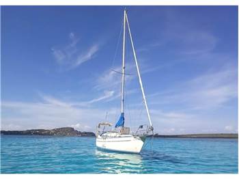 Arne Arksunds Amigo 33