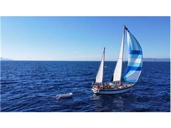 Hallberg Rassy 42