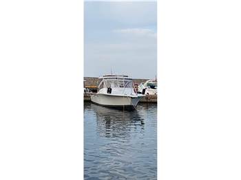 Luhrs 32