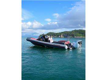 Mv Marine Mito 31
