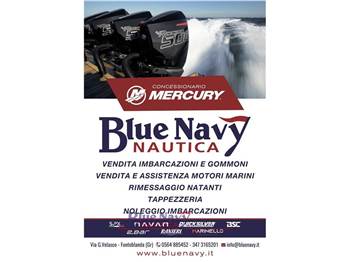 CAR OFF SHORE 500 OFF SHORE + Mercury 40cv PRO