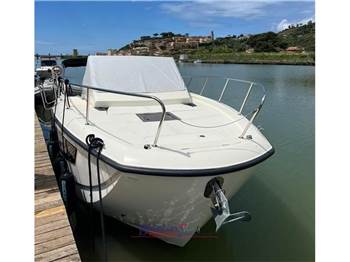Quicksilver 875 Sundeck+ 2 x 225cv V6 Mercury
