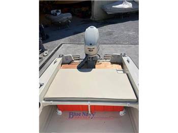 Boston Whaler 17 Montauk + Evinrude E tec 90cv 2026