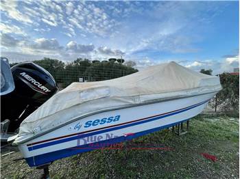 Sessa Marine con Mercury 40cv PRO (motore del 2021)