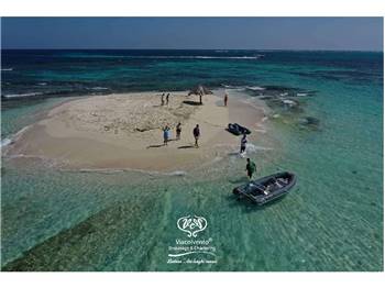 LAGOON LAGOON 560