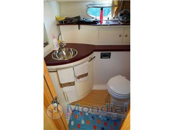 Sessa Dorado 36