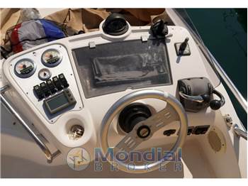Sessa Dorado 36