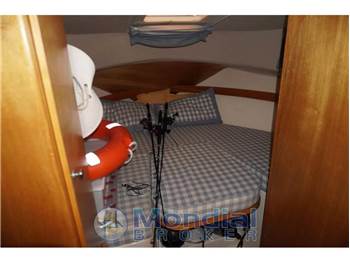 Sciallino Sciallino 25 Sport