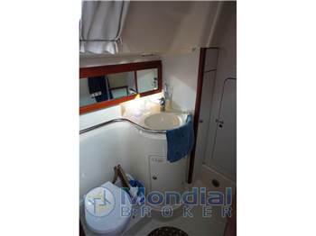 Dehler Yachts Dehler 36