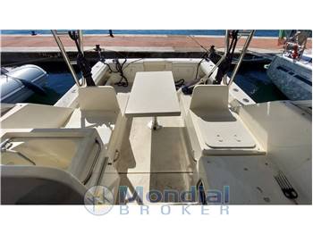 Bellcraft 900 Fish
