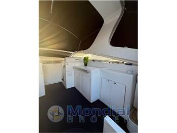 Alfamarine 50 Open