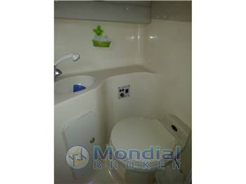SEA RAY 250 sundancer
