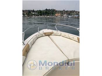 ranieri Ranieri Shark 17