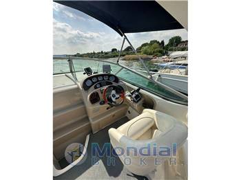 SEA RAY Sea Ray 315 Sundancer