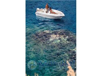 Allegra All 530 Open Nuova